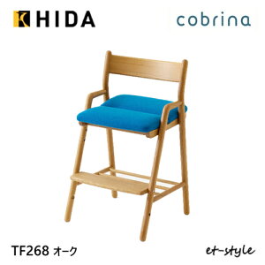 ˎY Rui cobrina `FA TF268 ؐ wK wKfXN C Vv HIDA
