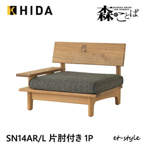ˎY X̂Ƃ 1P\t@\t@ SN14AR SN14AL ЕI Jo[O  z i I[N C HIDA