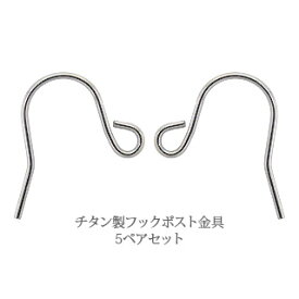 フックピアス金具 チタン ピアスパーツ ポイント消化 アクセ アクセサリー【ゆうパケット便可】 人気 おすすめ 母の日