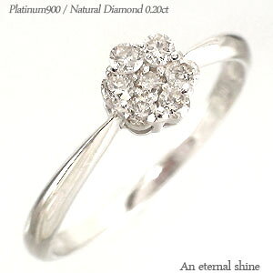 _ChO v`i v`i900 pt900 0.2Jbg t[  w w  iۏ؏  fB[X WG[ ANZT[ lC  v[g Mtg 蕨 