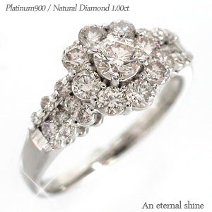 w _Ch O v`i v`i900 pt900 1Jbg ZuX^[ t[  w  iۏ؏  fB[X WG[ ANZT[ lC  v[g M