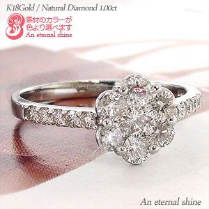 _Ch O w _C 1Jbg t[ ZuX^[ 18 18k k18 CG[S[h sNS[h zCgS[h w  iۏ؏  fB[X WG[ A