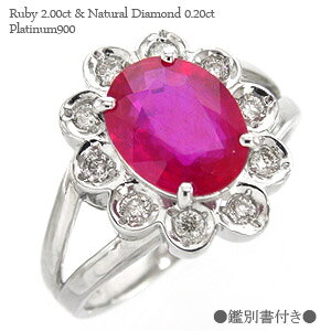 r[ _Ch Or[ 2ct _C 0.2Jbg ӕʏt 7a v`i v`i900 pt900 w OXtB[hiܐZj  iۏ؏  fB[X WG[ ANZ