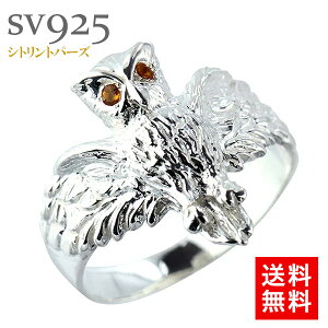 tNE  w O Vo[925 Vggp[Y J^  N Y iۏ؏  fB[X WG[ ANZT[ lC  v[g Mtg 蕨  SSS