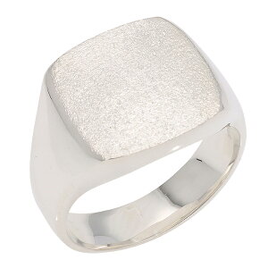  O v`i w YO Pt900 䃊O jp n C {  WG[ ANZT[ v[g Mtg lC   SSS