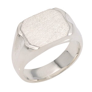  O v`i w YO Pt900 䃊O jp n C {  WG[ ANZT[ v[g Mtg lC   SSS