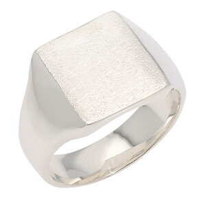  O v`i w YO Pt900 䃊O jp n C {  WG[ ANZT[ v[g Mtg lC   SSS