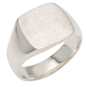  O v`i w YO Pt900 䃊O jp n C {  WG[ ANZT[ v[g Mtg lC   SSS