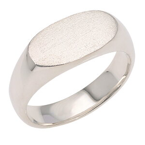  O v`i w YO Pt900 䃊O jp n C {  WG[ ANZT[ v[g Mtg lC   SSS