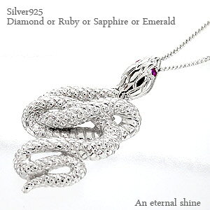 wr  Xl[N lbNX Vo[925 r[ Tt@CA Gh _C Y fB[X jZbNX iۏ؏t WG[ ANZT[ lC v[g Mtg  SSS