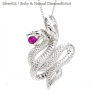  ւ Xl[N Vo[925 lbNX r[ 7a _Ch 0.01Jbg y_g  N x  p[Xg[ `F[ iۏ؏  fB[X WG[ AN