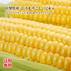 【ご予約受付中】トウモロコシ 山梨県産 とうもろこし 2L 約5kg 12本 ゴールドラッシュ きみひめ ドルチェドリーム 送料無料 ※人気 おすすめ