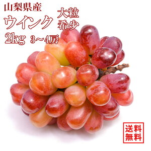 y91`Jnz2kg 3`4[ RY ECN Ԃǂ Ȃ  嗱  p t[c  Mtg Yn Â  N[֖ 