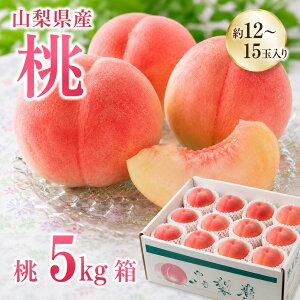 �R�����Y �� 2kg 5kg ���P ���� �Ȃ��� �������� ��߂����� ������ �{�̓������͂�