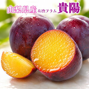 ���i�摜