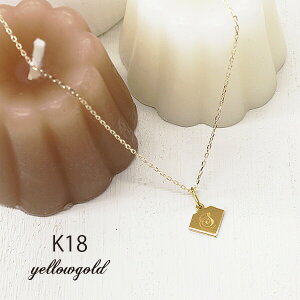 K18 CjV y_g lbNX 18 v[g 0.8mm _Ch^ fUC ʍ  O܂ 2Way  l[lbNX I[_[Ch iۏ؏  fB