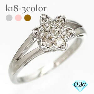 t[ _CO _Ch w  t[`[t 18 k18 CG[S[h sNS[h zCgS[h 18k w  iۏ؏  fB[X WG[ AN