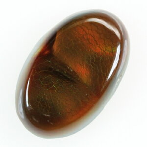 �V�R�t�@�C���[�A�Q�[�g ���� ���[�X 6.53ct �ysale-b�z�y�����y�z�yRCP�z