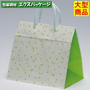 ܁@A[gobO@H55T@t@XZT00595@200@P[X̔@[1Tԁ@^i@񂹕i@pbN^P}