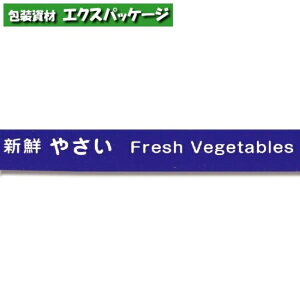 ،e[v@No.808@15×100@15mmЁ@@TL@10@#002000570@o̔@񂹕i@VW}