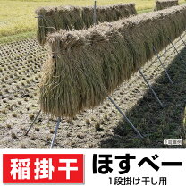 楽天市場】稲 掛の通販