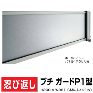 ANEѕԂ v`K[hP1^ {̃pl PDP1-0210SC H200×W981 h ډB t\ DIY  O O