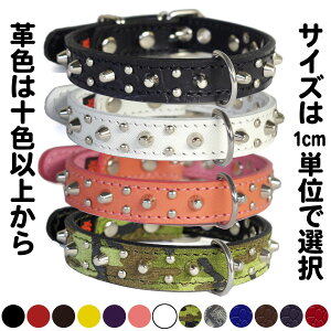 ^pX^bYvցF2cm Type 001(8mm+4mmەe)