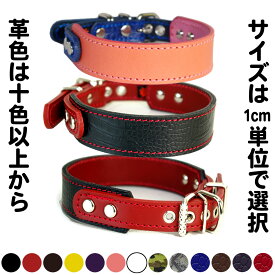 中型犬用革首輪：3cm Type F-000