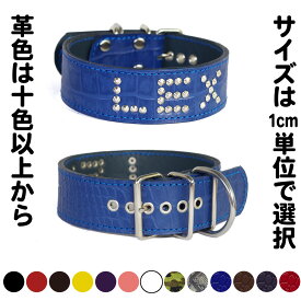 大型犬用革首輪4cm幅の革首輪：4cm Type Z-NAME