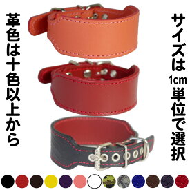 4cm幅のウィペット用革首輪：4cm Type G2-000 (鋲なし)
