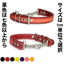2cm幅の中型犬用ハーフチョーク：2cm Type チョーカー 000 ダブルカラー（鋲なし）