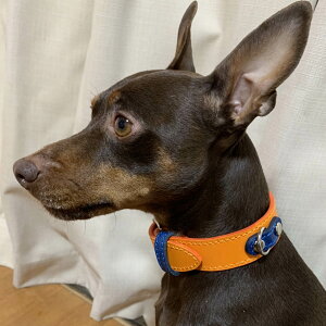 ^@C^O~jspvցFSmall Type G530 艿i