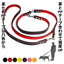 2cm幅の強度肩がけリードEX-Lead 006