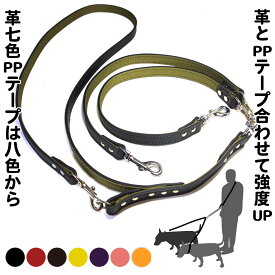 2cm幅の強度肩がけリードEX-Lead 006 ダブル(二頭引き）