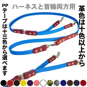 1.5cm ^^p@n[lXƎ֗ɃiXJ PP[h F PP Lead 008 W(1.5cmj