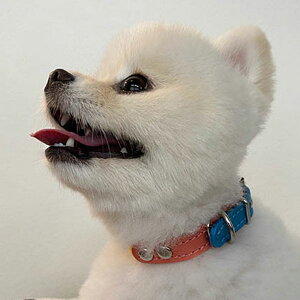 ^p2cmvցFSmall Type G5-FB 艿i