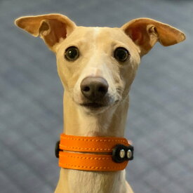 イタグレミニピン用革首輪：Small Type G2-E002 限定価格