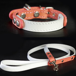 AEgbgF^p1.5cmv(23cmj+[h̃Zbg