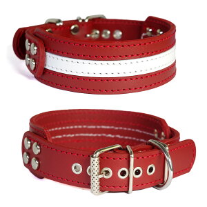 ^pv4cm̊vցF4cm Type F-000 (ԁ{j