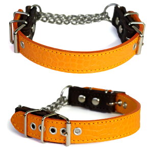 AEgbg:^p2.5cmn[t`[J[(40cm)