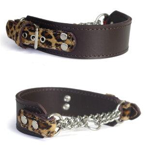 EBybgnpvn[t`[NFWip 4cm Type `[J[ GB i{nRqEj