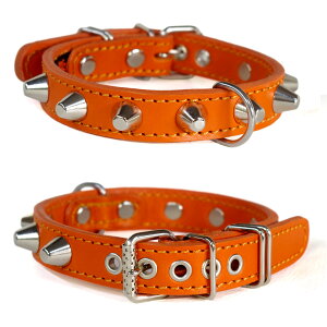 AEgbg2cm^pX^bYv(32cm)