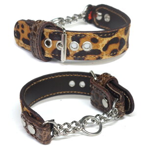 ^p 2.5cm v n[t`[N(27cm)FAEgbg