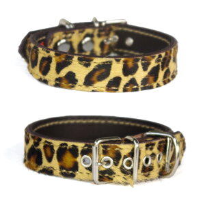 2cm̏^pvցFSmall Type G5-000@nR^