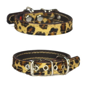 1.5cm̏^pvցFSmall Type000@nR^