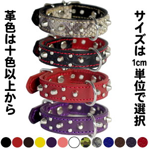 2cm̏^pX^bYvցFSmall Type G5_003(8mm+4mmەej