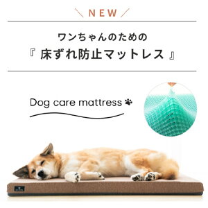   h~ \h NbV WFg hbO DOG }bgX RtH[g }bg ybg ybgpi V  ㌢ }bg NbV ^ ^ geltron p 