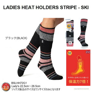 XL[ Xm{ \bNX yۉ7{zh C fB[X ŋ C q[gz_[Y (ORIGINAL / Ladies Ski) [\bNX nC\bNX AEghA ܂  g e