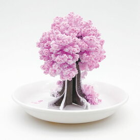 【 インテリア雑貨 おしゃれ 】 桜の都 桜の開花 不思議な インテリア かわいい モダン 癒しグッズ 癒しインテリア 置物 雑貨 オシャレ 大人かわいい雑貨 ギフト 新築祝い 開店祝い