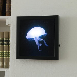 P10{Iy k CeAG  Ǌ| Vzj lC _ z LED A[g{[h 炰 NQ ANAE ObY  IV G kG    rO Q